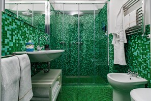 Shower, hair dryer, bidet, towels