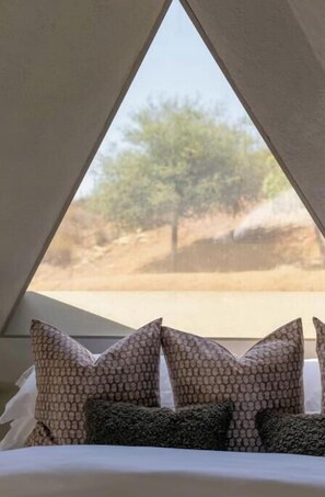 4 bedrooms, desk, iron/ironing board, WiFi - Designer Dome 25 min from DT SD

 (Jamul)