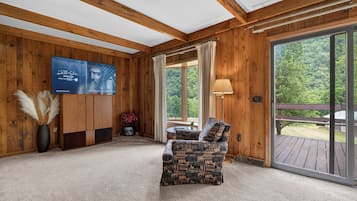 TV, fireplace, books