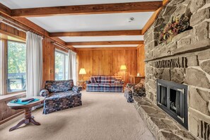 TV, fireplace, books