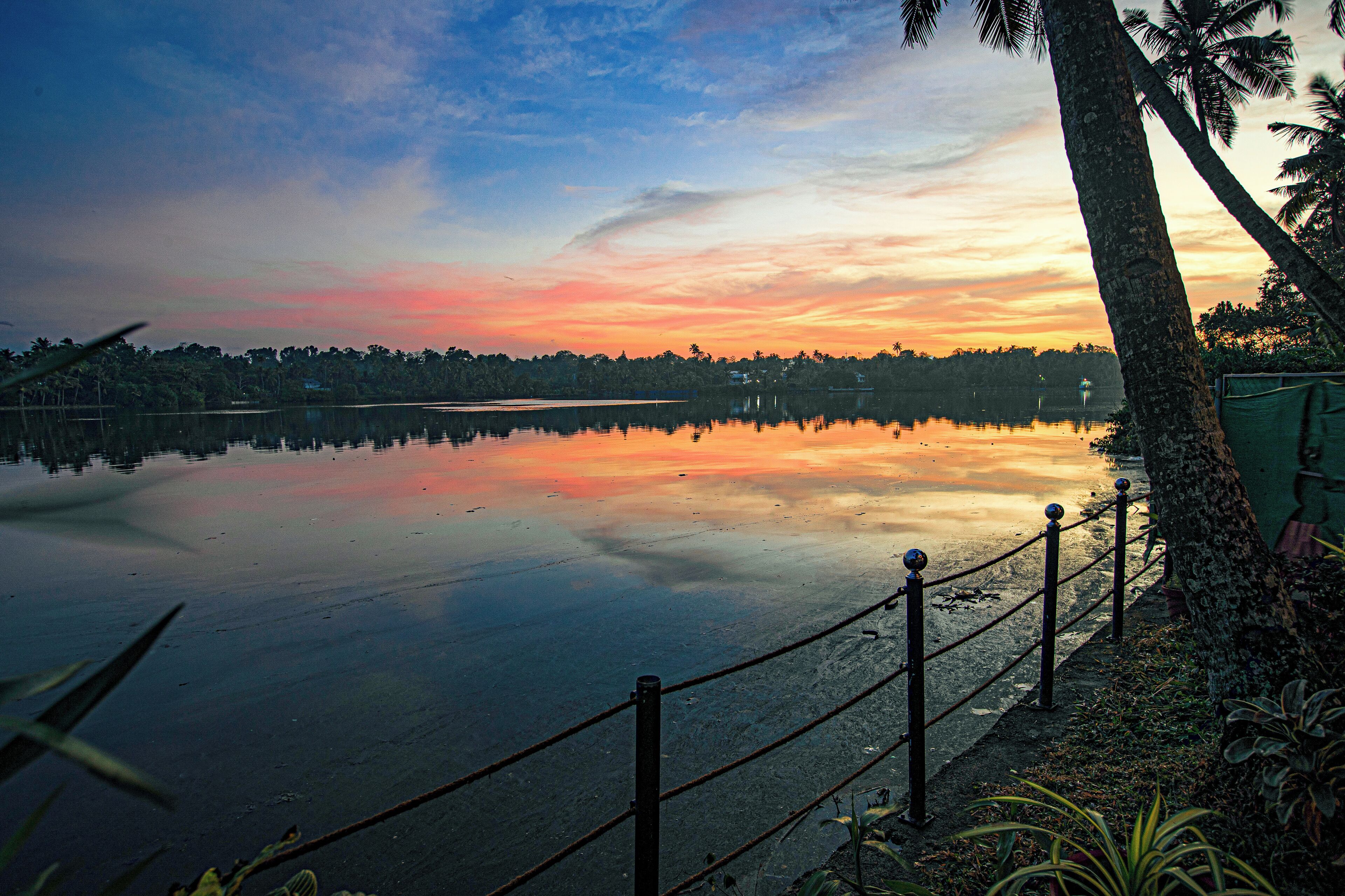 Un lago tranquilo al atardecer con cielo despejado, una valla a lo largo de la orilla y palmeras.