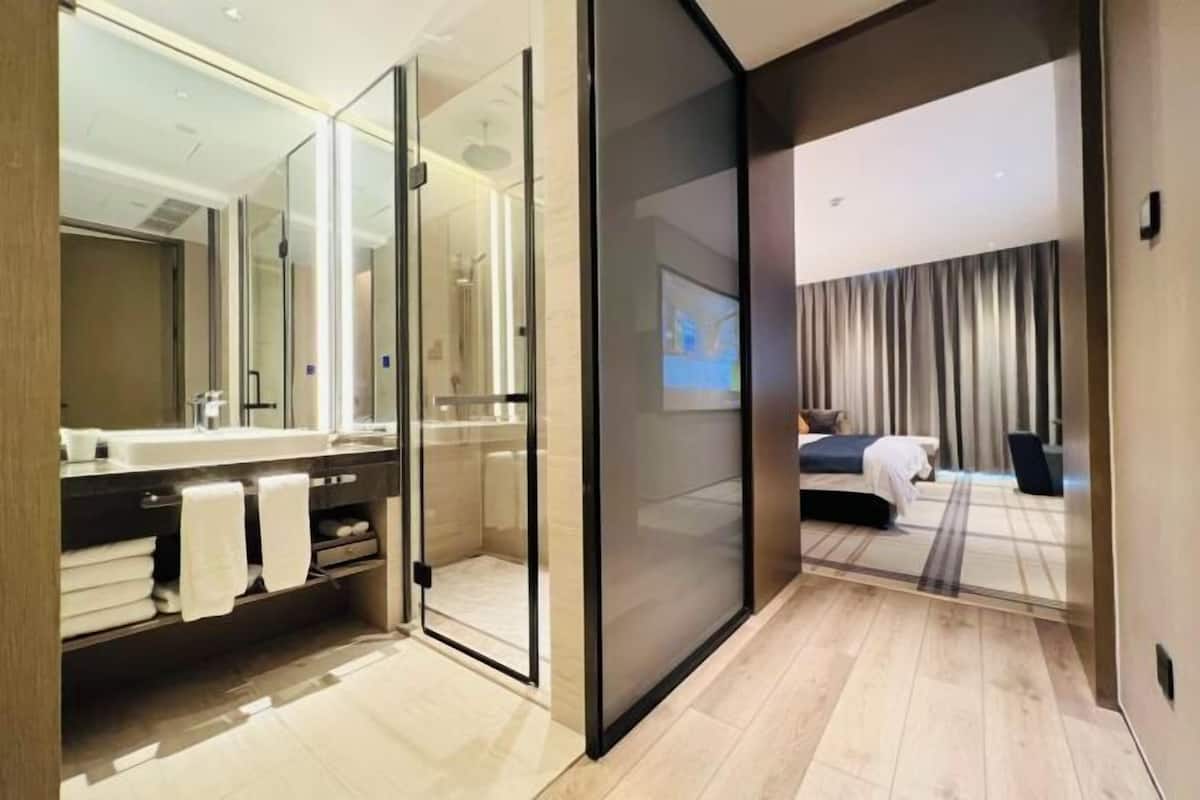 Een moderne hotelkamer met een glazen douchecabine, een grote spiegel, een bed met donker hoofdeinde en uitzicht op de stad door het raam.