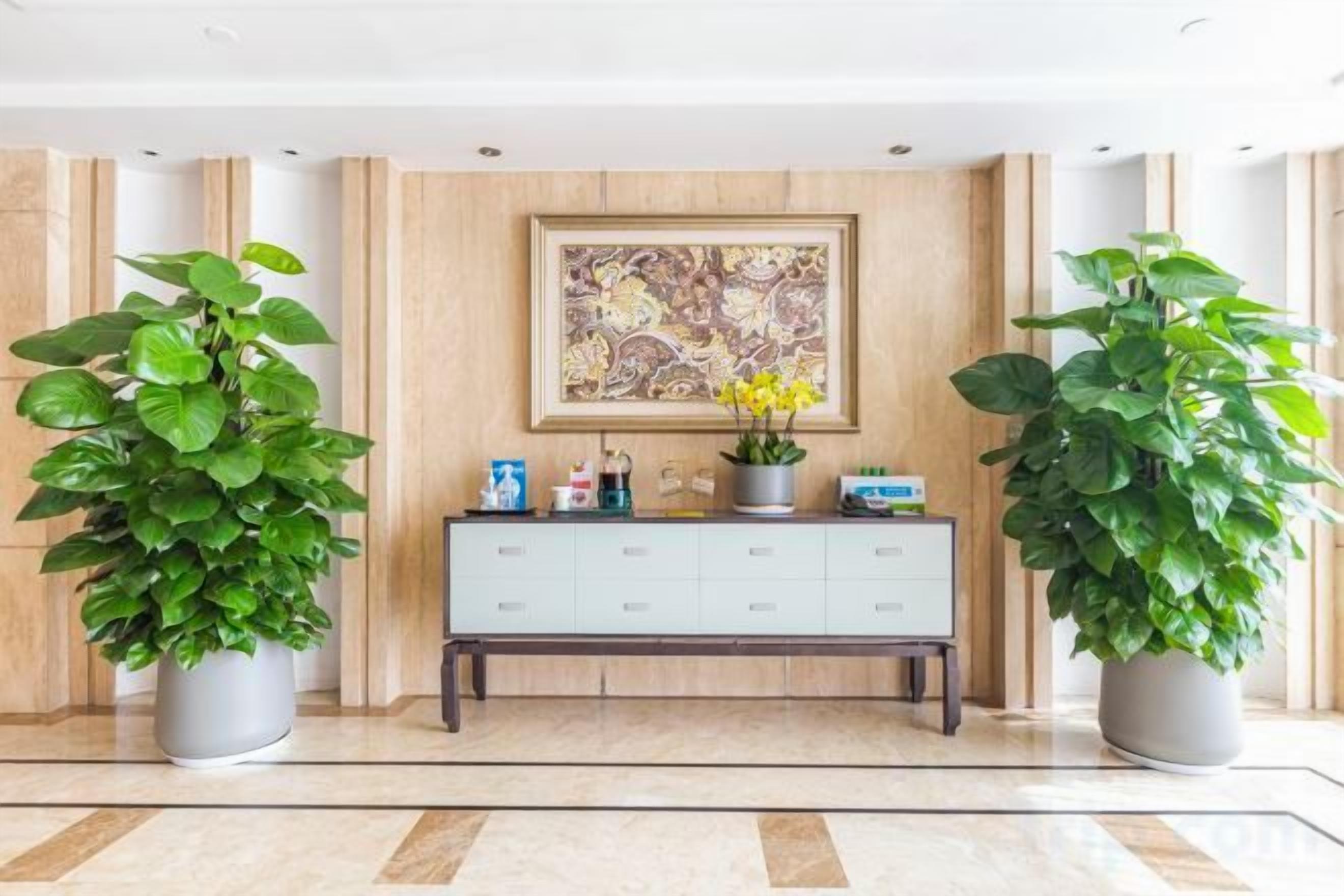 Un área de recepción con pared de paneles de madera, un cuadro abstracto enmarcado, una consola gris con diversos objetos y dos plantas en macetas.
