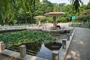 Un jardín tranquilo con un estanque, rodeado por una valla blanca y adornado con una fuente de piedra.
