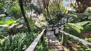 A wooden staircase surrounded by lush greenery and ferns, leading to a higher level. - Beachfront Bliss, relax in the hammock and listen to the waves on your door step (Hahei)