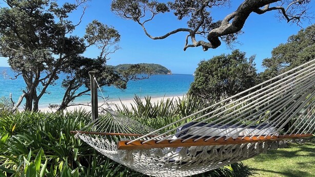 A hammock in a lush garden with a view of a beach and ocean. - Beachfront Bliss, relax in the hammock and listen to the waves on your door step (Hahei)