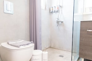 Chuveiro, secador de cabelo, toalhas de banho, sabonete