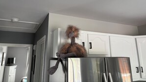 Eine Küche mit weißen Schränken, einem Edelstahlkühlschrank und einem Kuscheltier auf dem Kühlschrank.