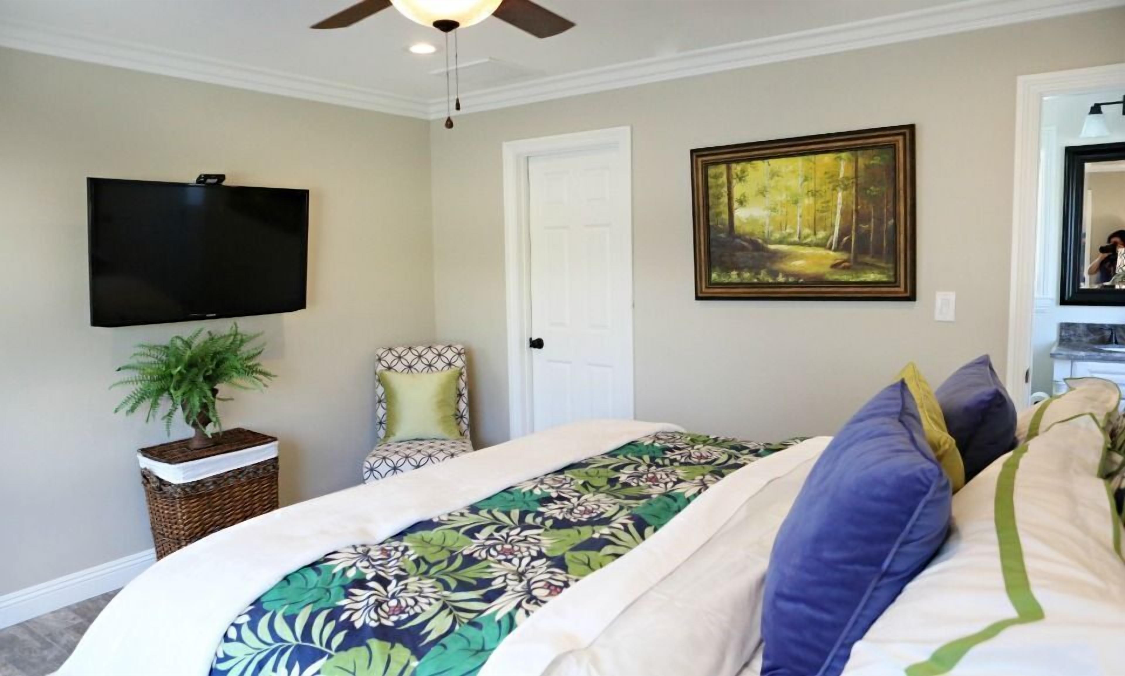 Une chambre à coucher avec un lit, une télévision, une porte, un tableau et un ventilateur de plafond.