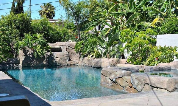A swimming pool with clear water, surrounded by tropical plants and rocks.