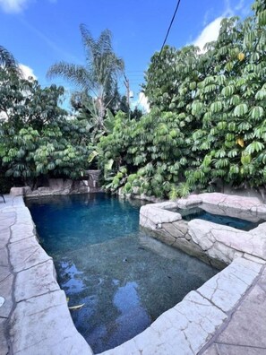 A swimming pool with clear water, surrounded by lush greenery and stone edges.