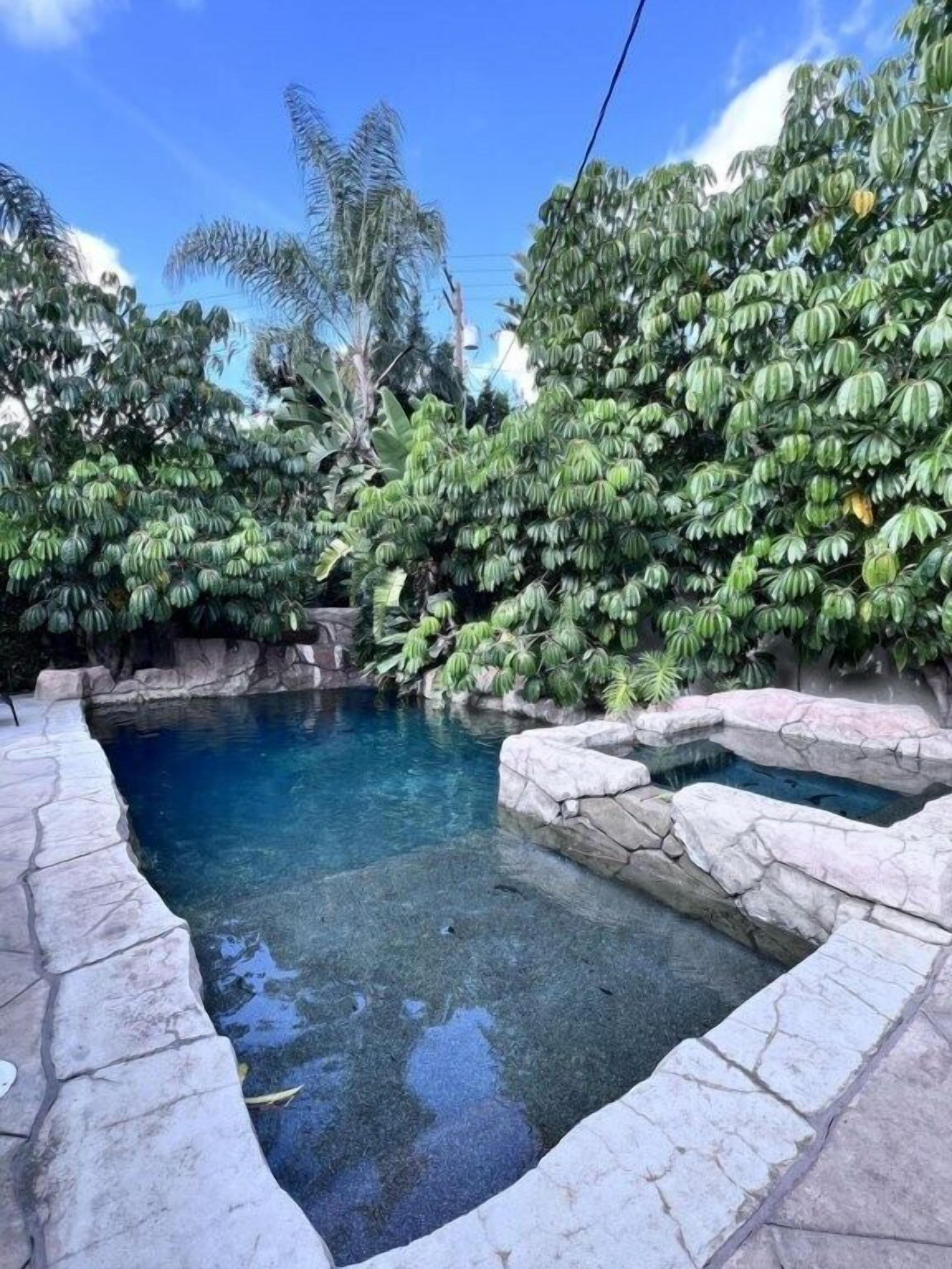 A swimming pool with clear water, surrounded by lush greenery and stone edges.
