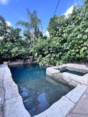A swimming pool with clear water, surrounded by lush greenery and stone edges.