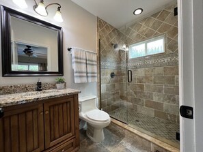 A bathroom with a shower, toilet, vanity, and a large mirror.