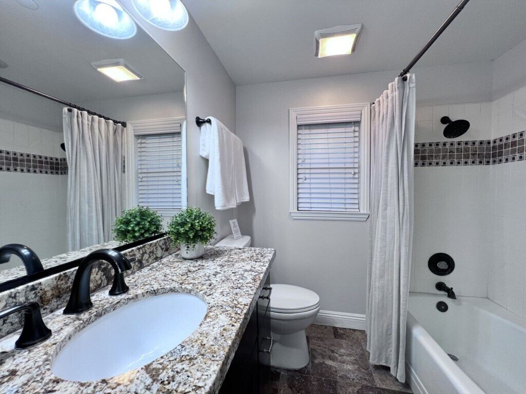 Une salle de bain avec un lavabo à égouttoir en granit, des toilettes, une douche avec un rideau et une petite plante en pot.