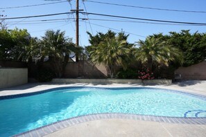 A swimming pool with a tiled edge, surrounded by palm trees and a concrete wall.