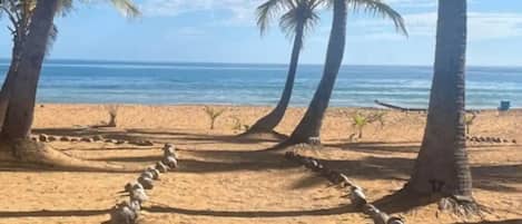 Beach nearby, sun-loungers, beach towels
