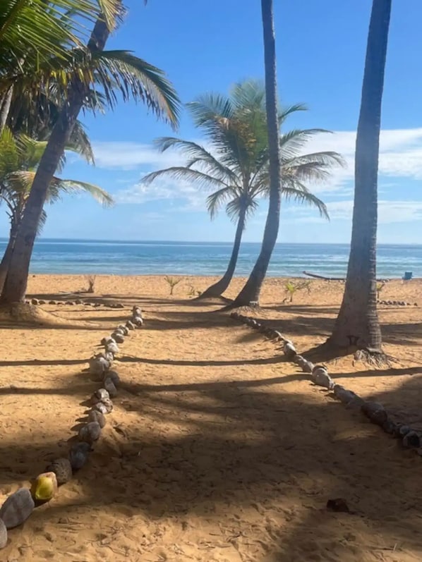 Plage à proximité, chaises longues, serviettes de plage