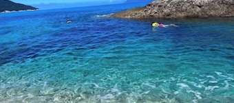 Racine Yakushima