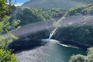 Room - Racine Yakushima (Yakushima)
