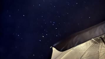 A dark night sky with stars visible through a window.