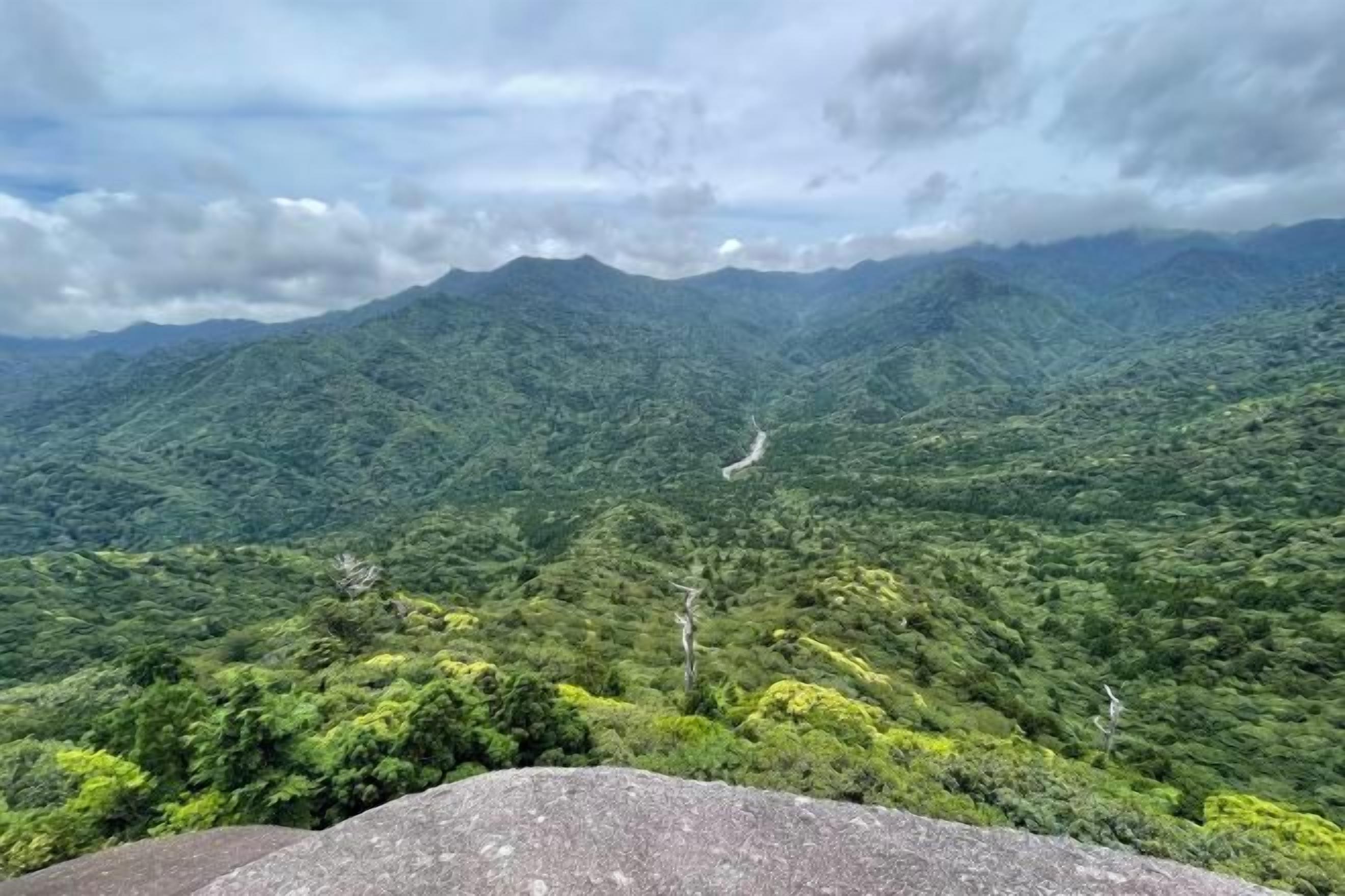 Un paysage montagneux, caractérisé par une végétation luxuriante et un sentier sinueux.