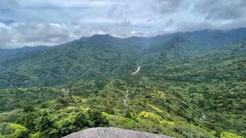 Un paysage montagneux, caractérisé par une végétation luxuriante et un sentier sinueux.