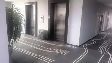 A hallway with doors, a plant, and a patterned floor.