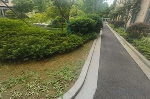 Un sendero pavimentado bordeado por densa vegetación y un edificio a un lado.