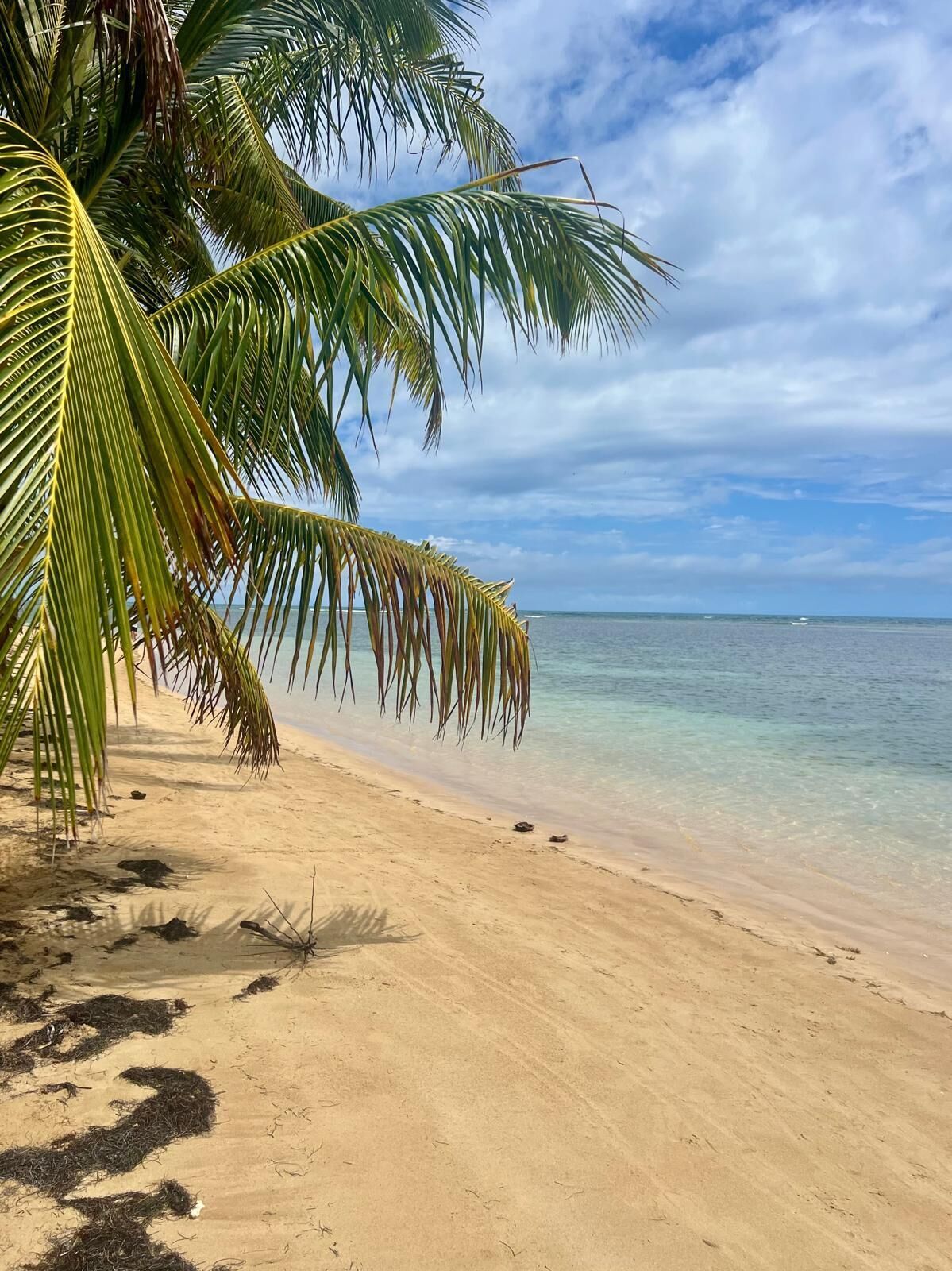 Solsenger og strandhåndklær