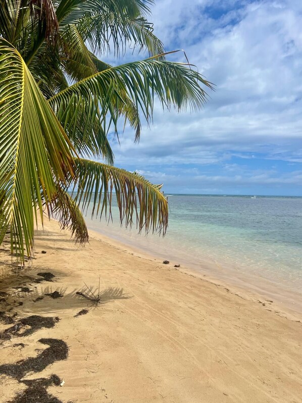 Sun loungers, beach towels