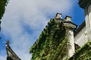 Een gebouw met klimopbedekte muren en een heldere lucht.
