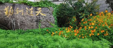 Una roca con inscripciones, un jardín de flores anaranjadas y un edificio al fondo.