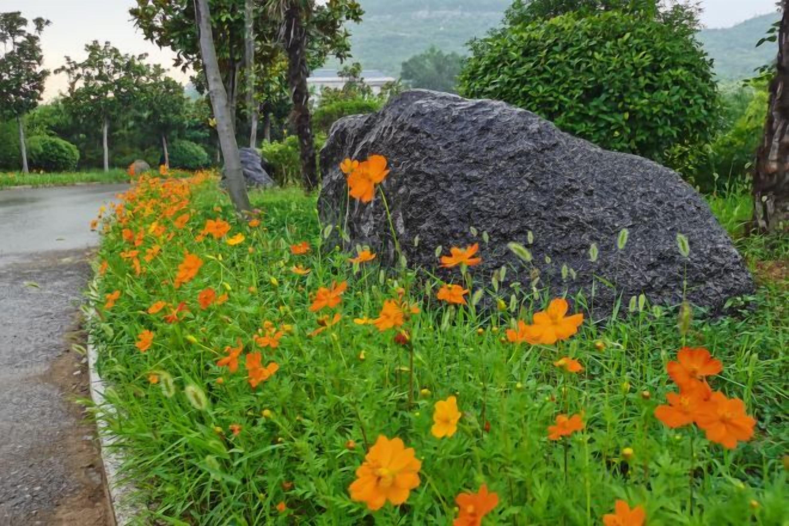 Khuôn viên nơi lưu trú