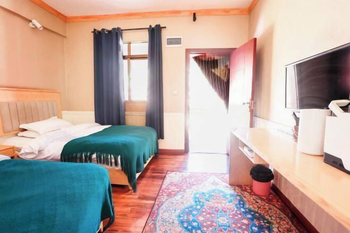 A hotel room with two beds, a TV, a desk, and a patterned rug.