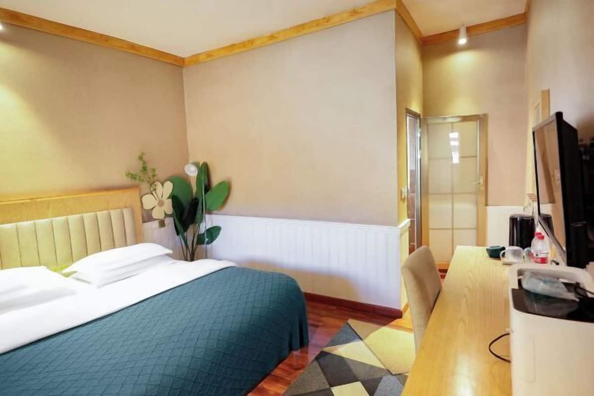 A hotel room with a bed, a desk, a chair, a plant, and a TV.