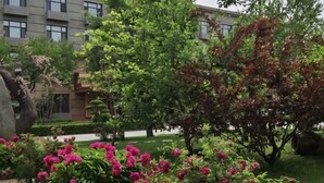Un jardín ajardinado con plantas florecientes y árboles, un sendero y un edificio al fondo.