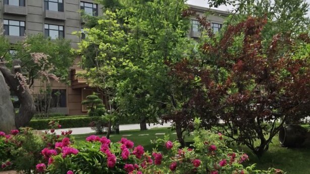 Un jardin aménagé avec des plantes et des arbres en fleurs, un sentier et un bâtiment en arrière-plan.