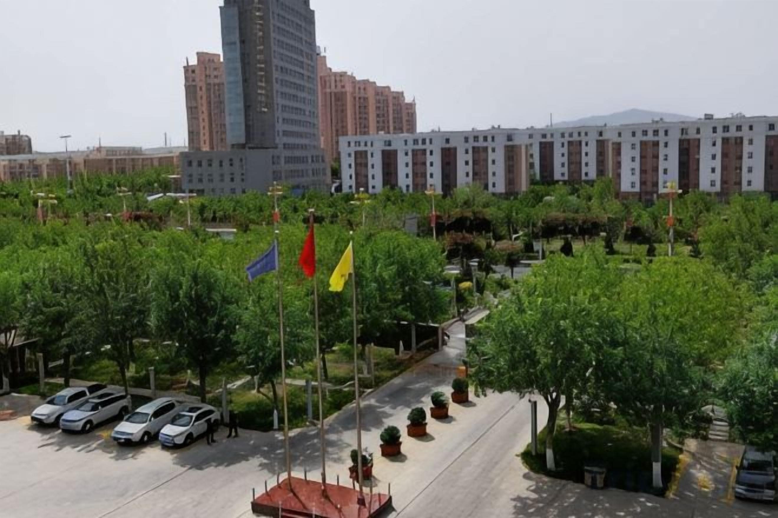 A parking lot with several cars, a building with multiple floors, and a row of trees.