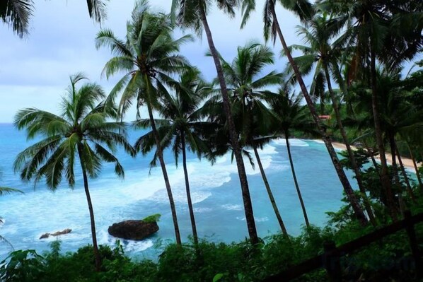 A beach with palm trees and ocean waves.