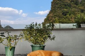 Unclassified image, 3 of 29, button - Shifang Chuanshe Boutique Inn (Zhaoping)