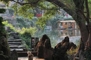 Vue depuis l’hébergement