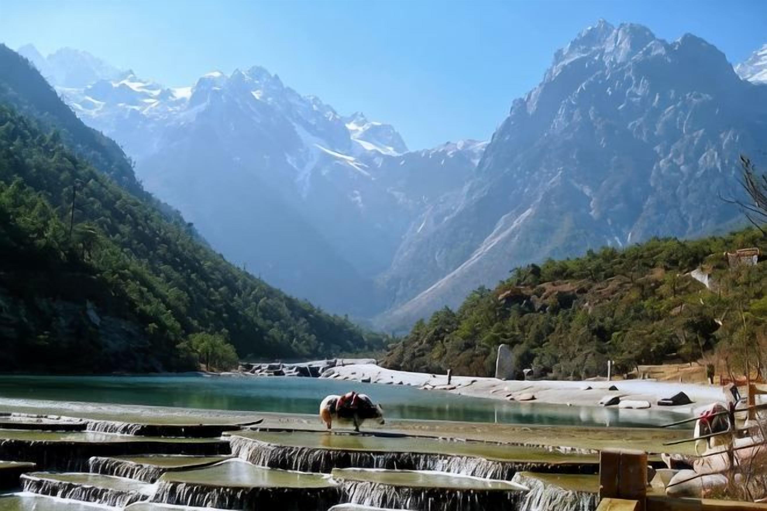 Un paysage montagneux avec une rivière, des champs en terrasses et un chien.