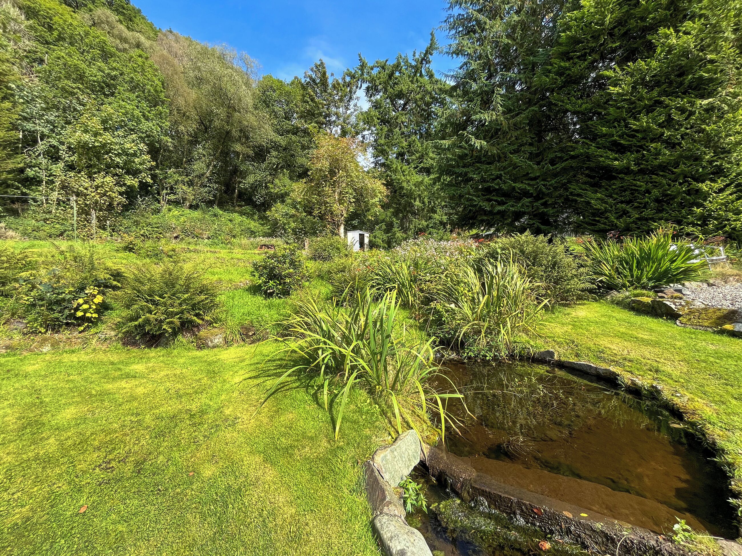 A garden with a pond, various plants, and a small shed.