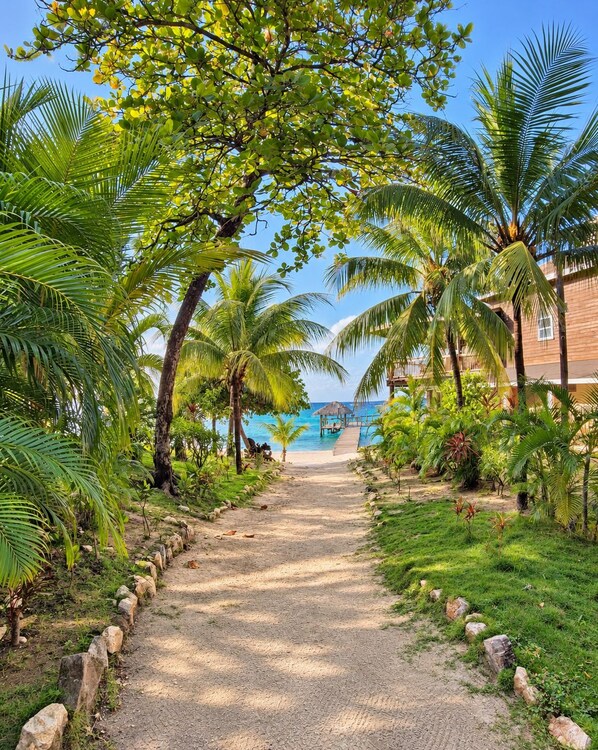 A pathway leading to a beach with palm trees and a wooden building in the background.