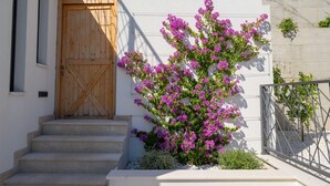 Eine Holztür, einige Betonstufen und eine Wand mit violetten Blumen.