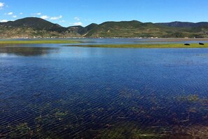 Un extenso cuerpo de agua con reflejos cristalinos, rodeado de colinas verdes y un cielo despejado.