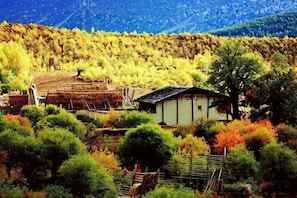 Una casa tradicional japonesa rodeada de follaje otoñal y un telón de fondo montañoso.