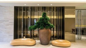 Un espace d’accueil agrémenté d’une grande plante en pot, de deux tabourets en bois et d’un aménagement intérieur moderne avec une cloison en verre et un mur revêtu de panneaux en bois.