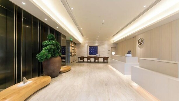 Un hall d’hôtel moderne avec un comptoir d’accueil, un espace salon et une grande plante en pot.